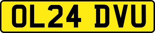 OL24DVU