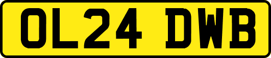OL24DWB