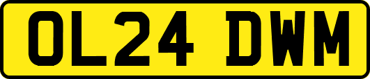 OL24DWM