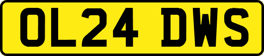 OL24DWS