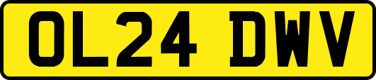 OL24DWV