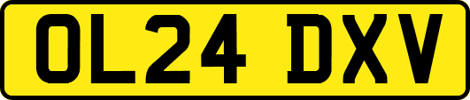 OL24DXV