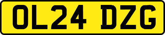 OL24DZG
