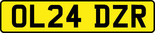 OL24DZR