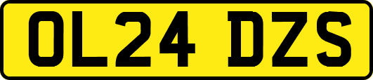 OL24DZS
