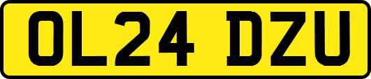 OL24DZU