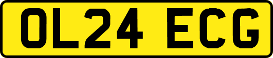 OL24ECG