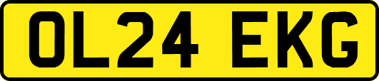 OL24EKG