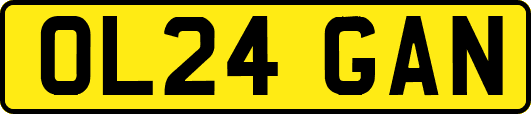 OL24GAN