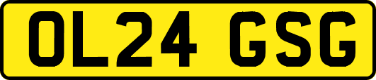 OL24GSG