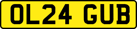 OL24GUB