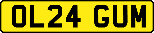 OL24GUM