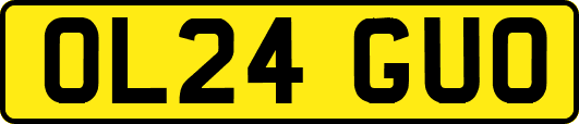 OL24GUO