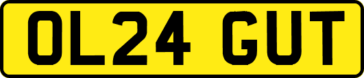 OL24GUT