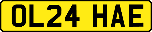 OL24HAE