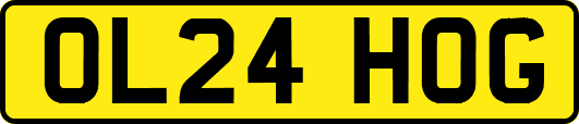 OL24HOG