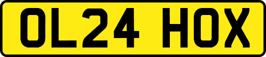 OL24HOX