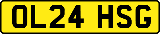 OL24HSG
