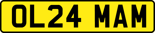 OL24MAM