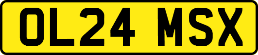 OL24MSX
