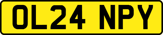 OL24NPY