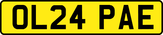 OL24PAE