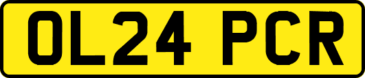 OL24PCR