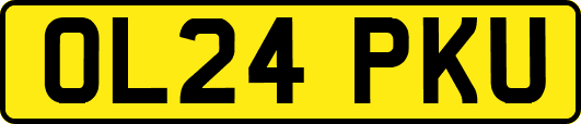 OL24PKU