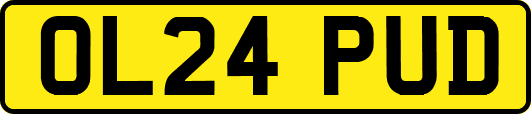 OL24PUD