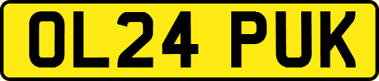 OL24PUK