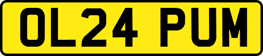 OL24PUM