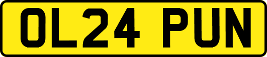 OL24PUN