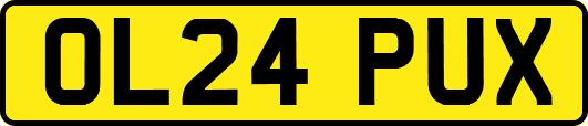 OL24PUX