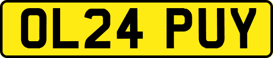 OL24PUY