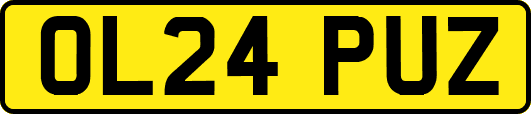 OL24PUZ
