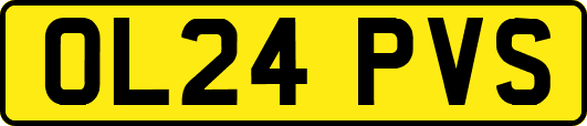 OL24PVS
