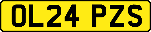 OL24PZS