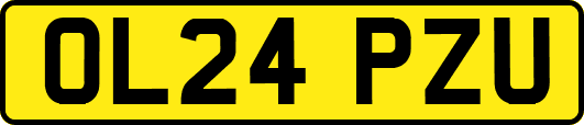 OL24PZU