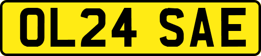 OL24SAE