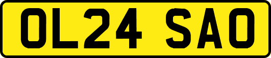 OL24SAO