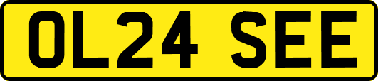 OL24SEE