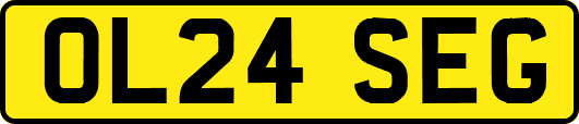 OL24SEG