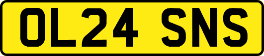 OL24SNS