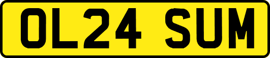 OL24SUM