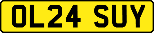 OL24SUY