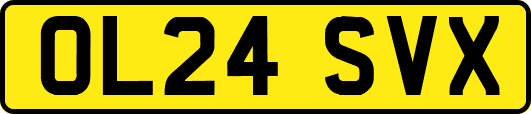 OL24SVX