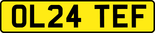 OL24TEF