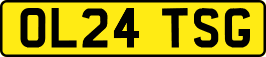 OL24TSG