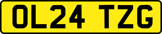 OL24TZG