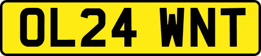OL24WNT